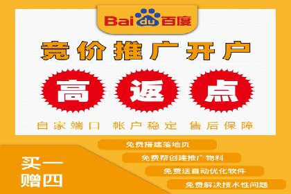 某行业SEM广告投放的创意与执行案例